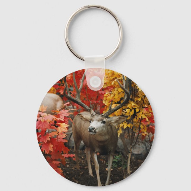 Whitetail In Autumn Keychain (Front)