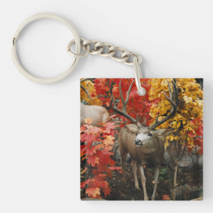 Whitetail In Autumn Keychain