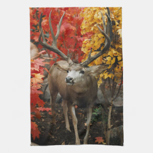 Whitetail In Autumn Kitchen Towel