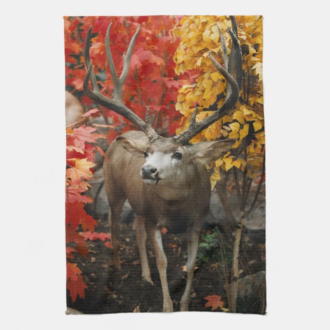 Whitetail In Autumn Kitchen Towel (Vertical)