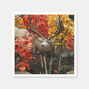 Whitetail In Autumn Napkin