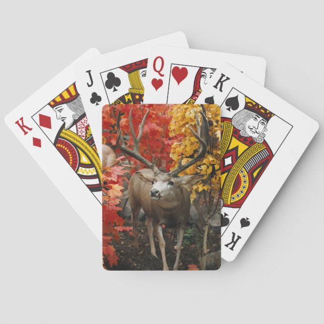 Whitetail In Autumn Playing Cards (Back)