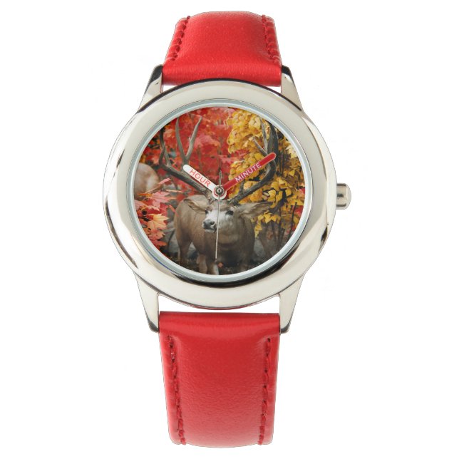 Whitetail In Autumn Watch (Front)