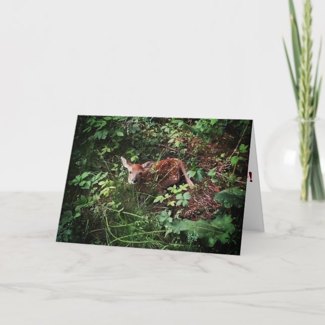 "Whitetail Woods Deer" Carte de Vœux de Bon Rétabl (Devant)