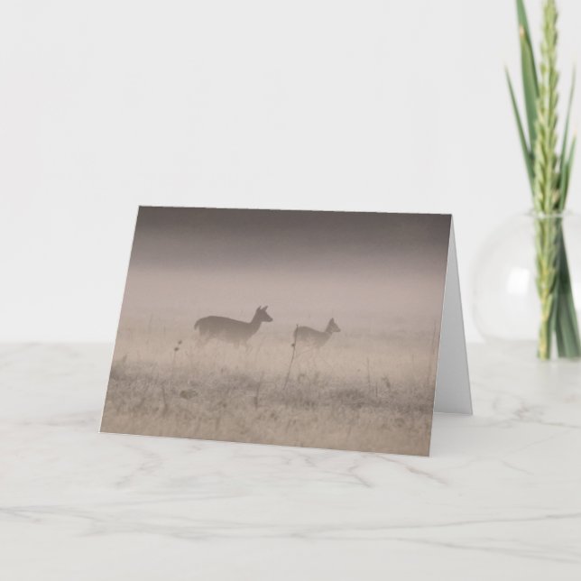 Whitetailed Deer - Quiet Winter Morning  Card (Front)