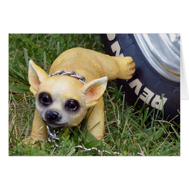 Whiz Kid (Devant horizontal)