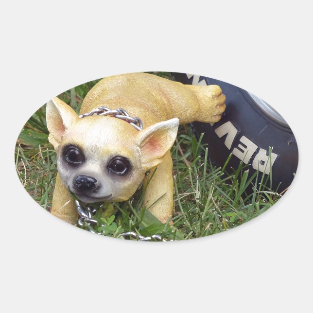 Whiz Kid Oval Sticker (Front)