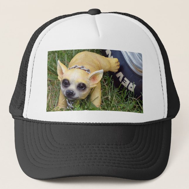 Whiz Kid Trucker Hat (Front)