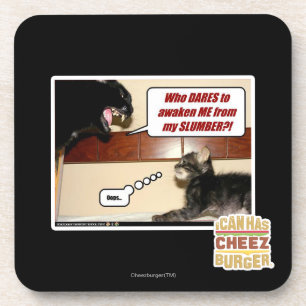 Who dares awaken me? coaster