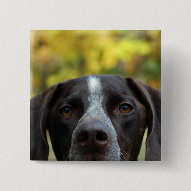 Who Dat Dog? 2 Inch Square Button (Front)