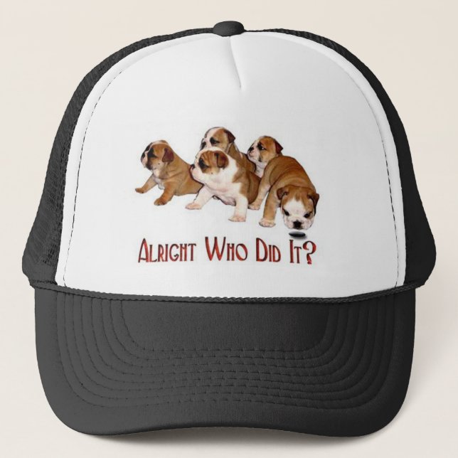Who Did It Hat (Front)