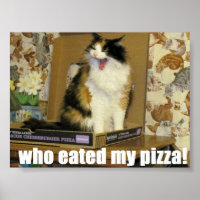 who eated my pizza? Funny Cat Meme