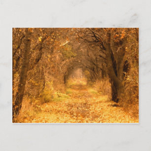 Who Knows Where The Path Leads? Postcard