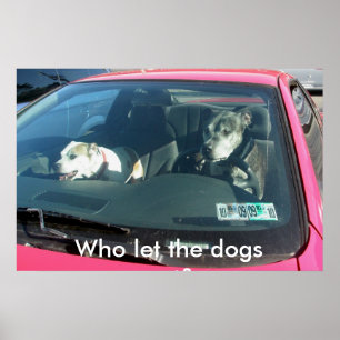 Who let the dogs out? Poster
