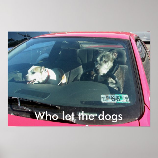 Who let the dogs out? Poster (Front)