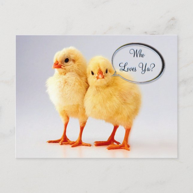 Who Loves Ya? Customizable  Postcard (Front)