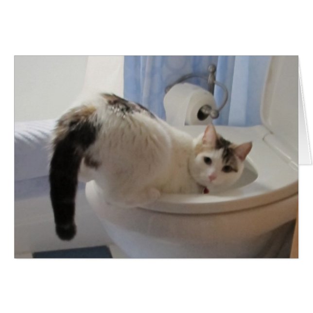 Who? Me? (Front Horizontal)