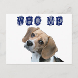 Who Me dog fingerprint Postcard