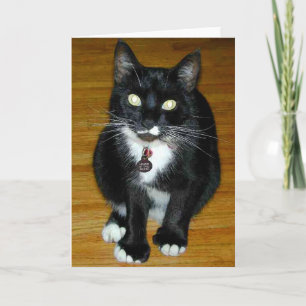 Who Me? Holiday Card