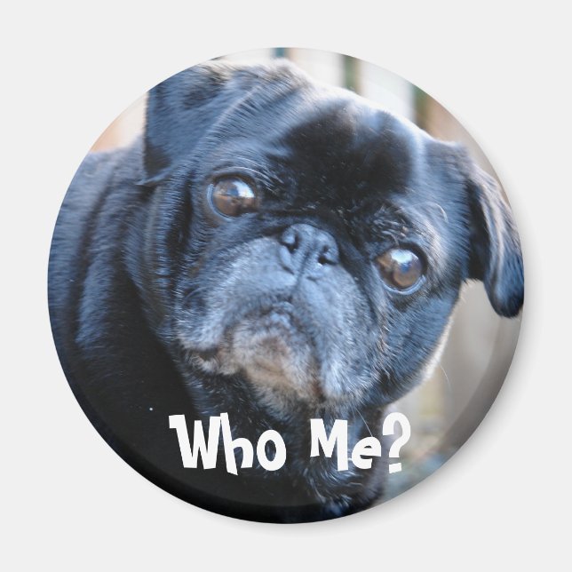 Who Me? Magnet (Front)