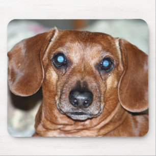 Who Me Mouse Pad