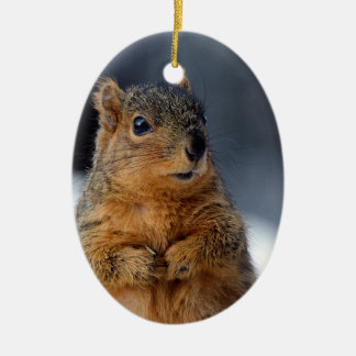 Who Me Squirrel Ceramic Ornament