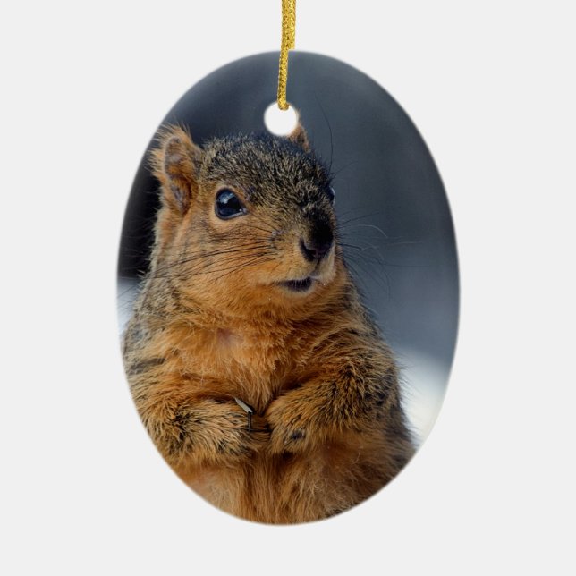 Who Me Squirrel Ceramic Ornament (Front)