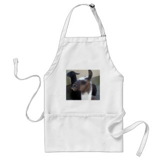 Who me? Zoo Llama design Standard Apron