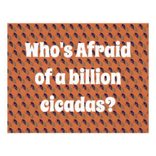 Who’s Afraid of a Billion Cicadas? Photo Print