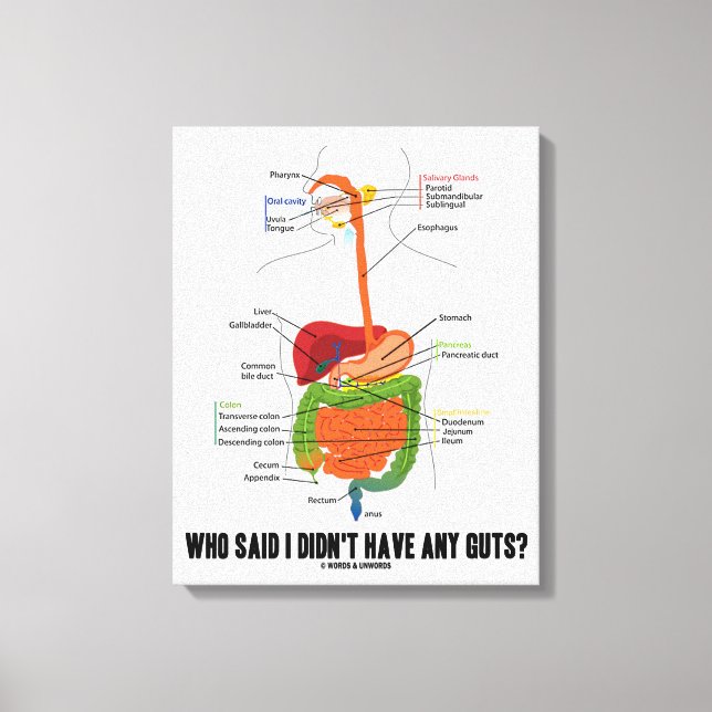 Who Said I Didn't Have Any Guts? Digestive System Canvas Print (Front)