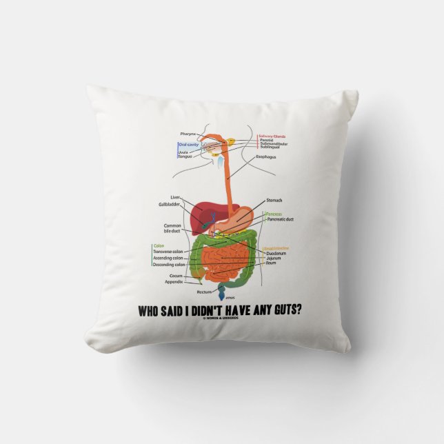 Who Said I Didn't Have Any Guts? Digestive System Throw Pillow (Front)