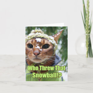 Who Threw That Snowball? Holiday Card