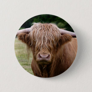 Who Turned the Lights Out Badge 2 Inch Round Button