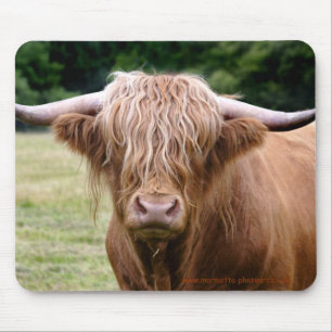 Who Turned the Lights Out Mousemat Mouse Pad