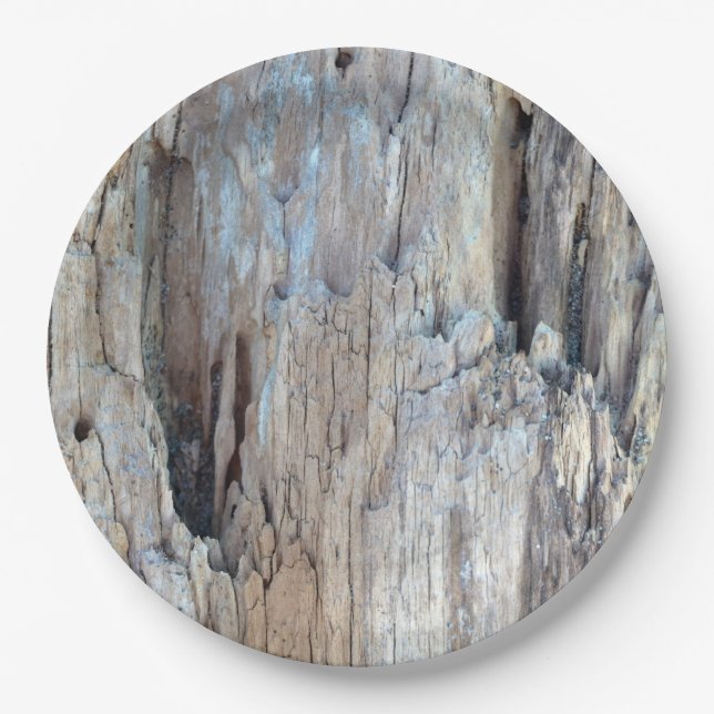 Who Wants to Eat on Some Driftwood Paper Plate (Front)