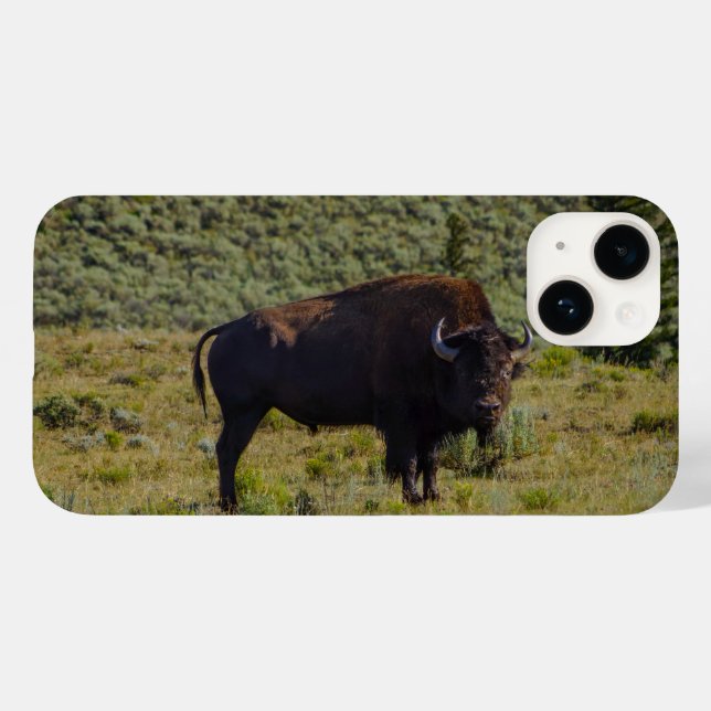 Who You Looking At Case-Mate iPhone Case (Back (Horizontal))
