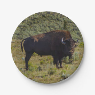 Who You Looking At Paper Plate