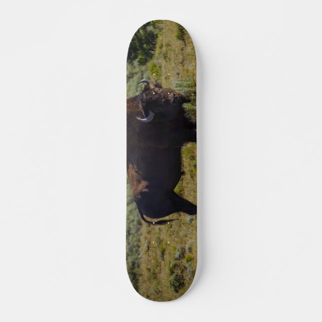Who You Looking At Skateboard (Front)