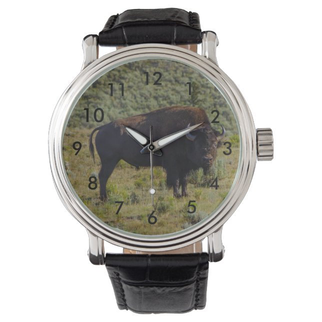 Who You Looking At Watch (Front)