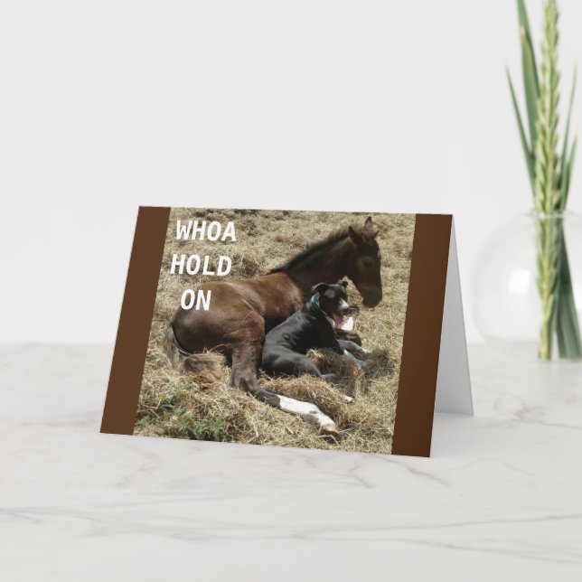 WHOA HOLD ON SO I CAN SAY "HAPPY BIRTHDAY" CARD (Front)