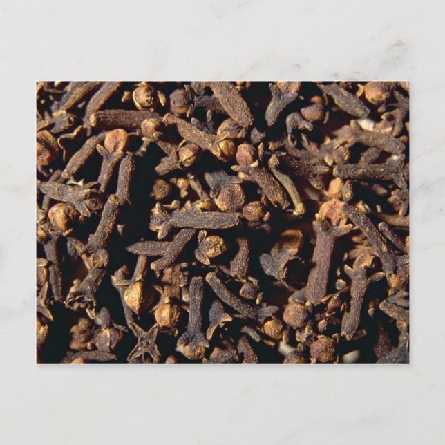 Whole cloves postcard (Front)