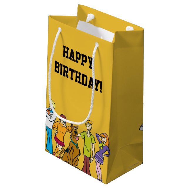 Whole Gang 14 Mystery Inc Small Gift Bag (Back Angled)