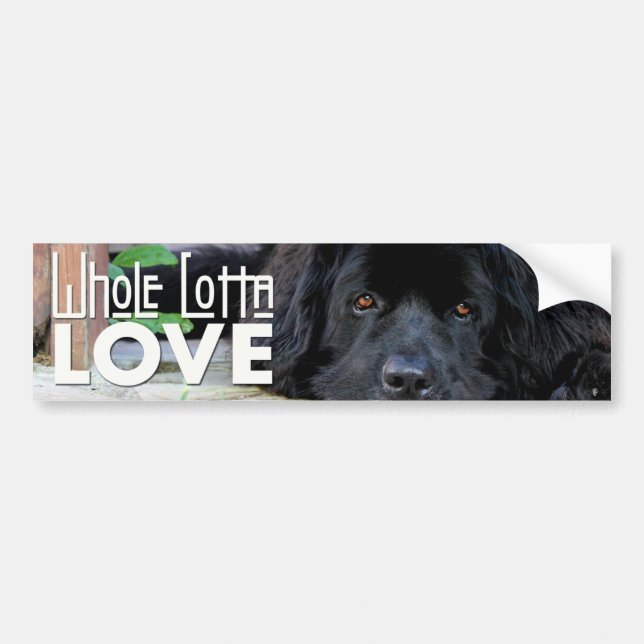 Whole Lotta Love Newfie Bumper Sticker (Front)
