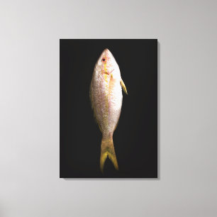 Whole Sea Bass Canvas Print