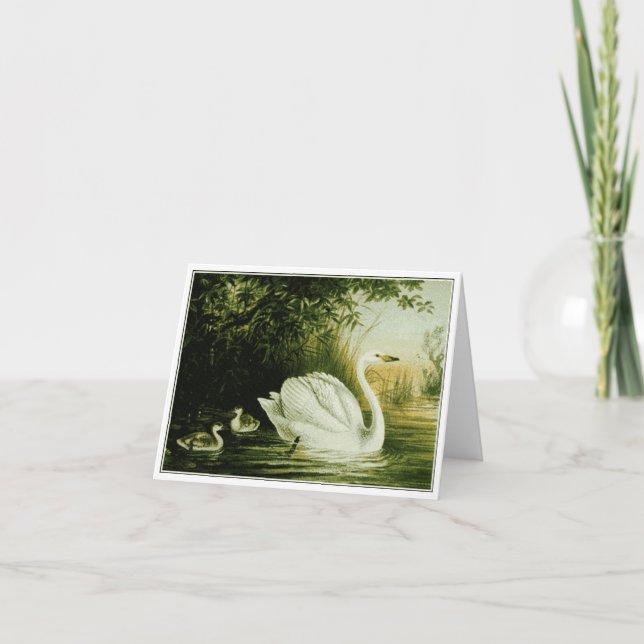 Whooper Swan Customize Card (Front)