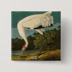 Whooping Crane Audubon Bird Painting 2 Inch Square Button