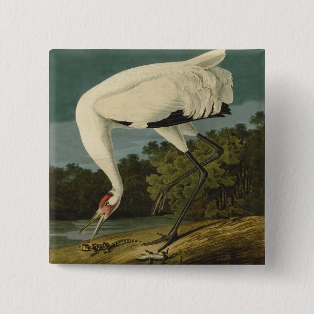 Whooping Crane Audubon Bird Painting 2 Inch Square Button (Front)