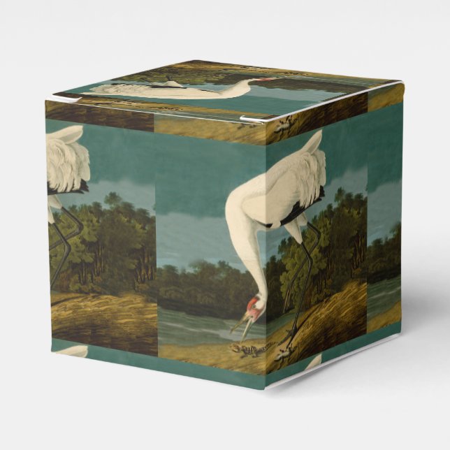 Whooping Crane Audubon Bird Painting Favor Box (Front Side)