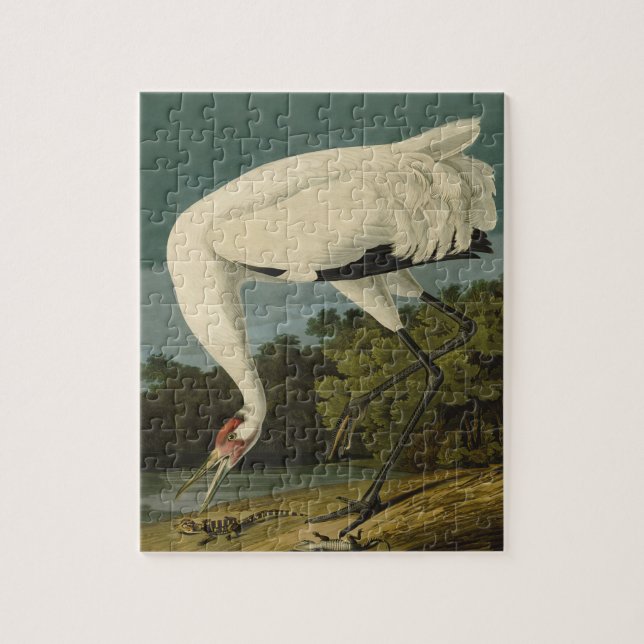 Whooping Crane Audubon Bird Painting Jigsaw Puzzle (Vertical)