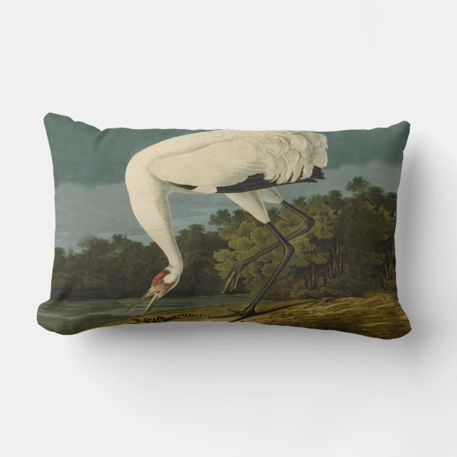 Whooping Crane Audubon Bird Painting Lumbar Pillow (Front)
